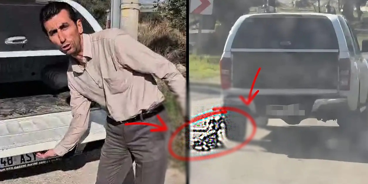 Muğla'da vahşet anları! Köpeği katleden sürücüden skandal savunma