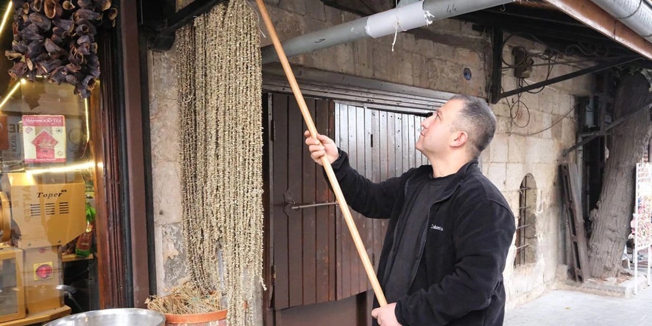 Gölgede kurutuluyor ağrıları şıp diye kesiyor: Fiyatı altınla yarışıyor