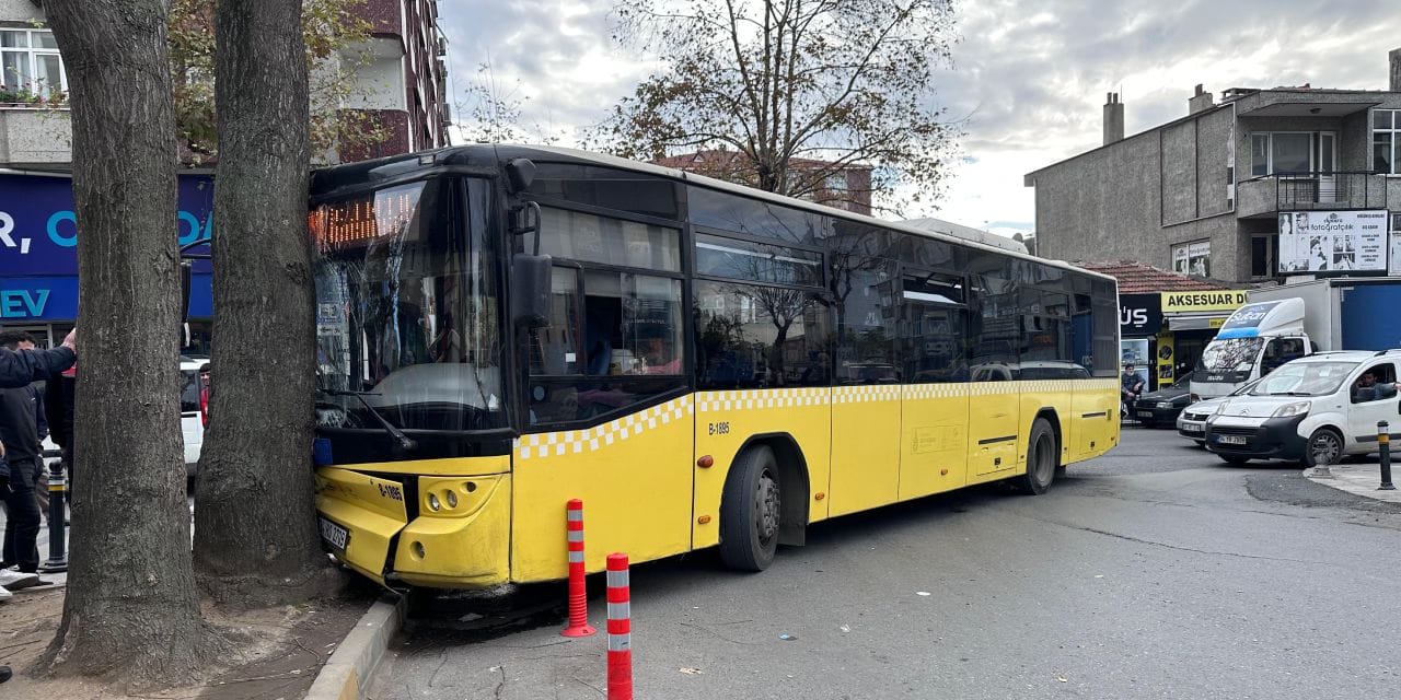 İETT otobüsü yol kenarındaki ağaca çarptı