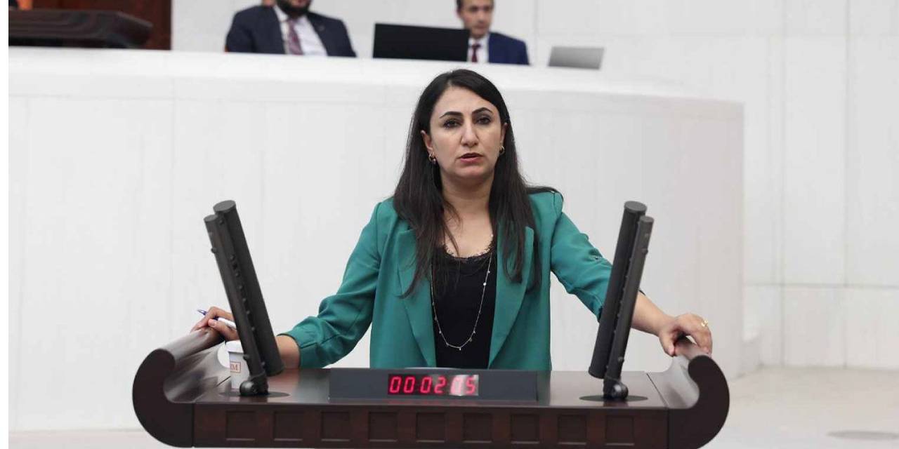 DEM Parti'den kayyum tepkisi: Derhal son verilmelidir