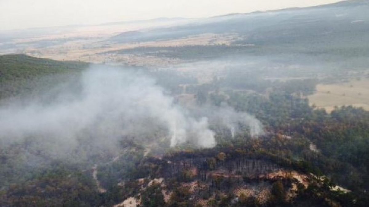 Eskişehir’deki orman yangını 15 saatte kontrol altına alındı