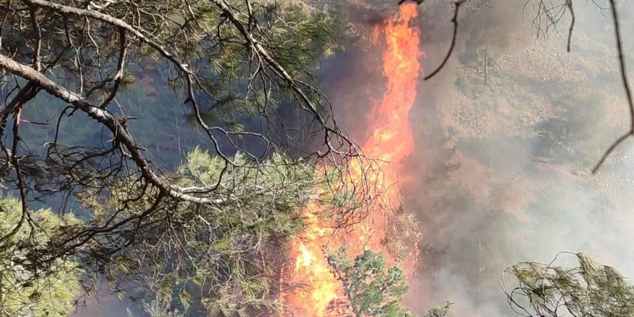 Hatay'da orman yangını: Havadan ve karadan müdahale!