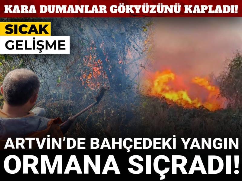 Artvin’de bahçedeki yangın ormana sıçradı! Kara dumanlar gökyüzünü kapladı