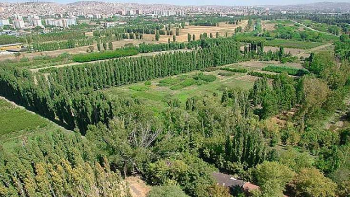Atatürk Orman Çiftliği arazisi 'yeniden' kiralanıyor