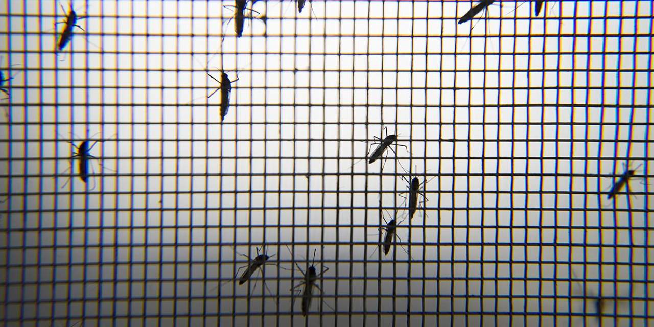 Türkiye'ye geldiler: Salgın endişesi başladı