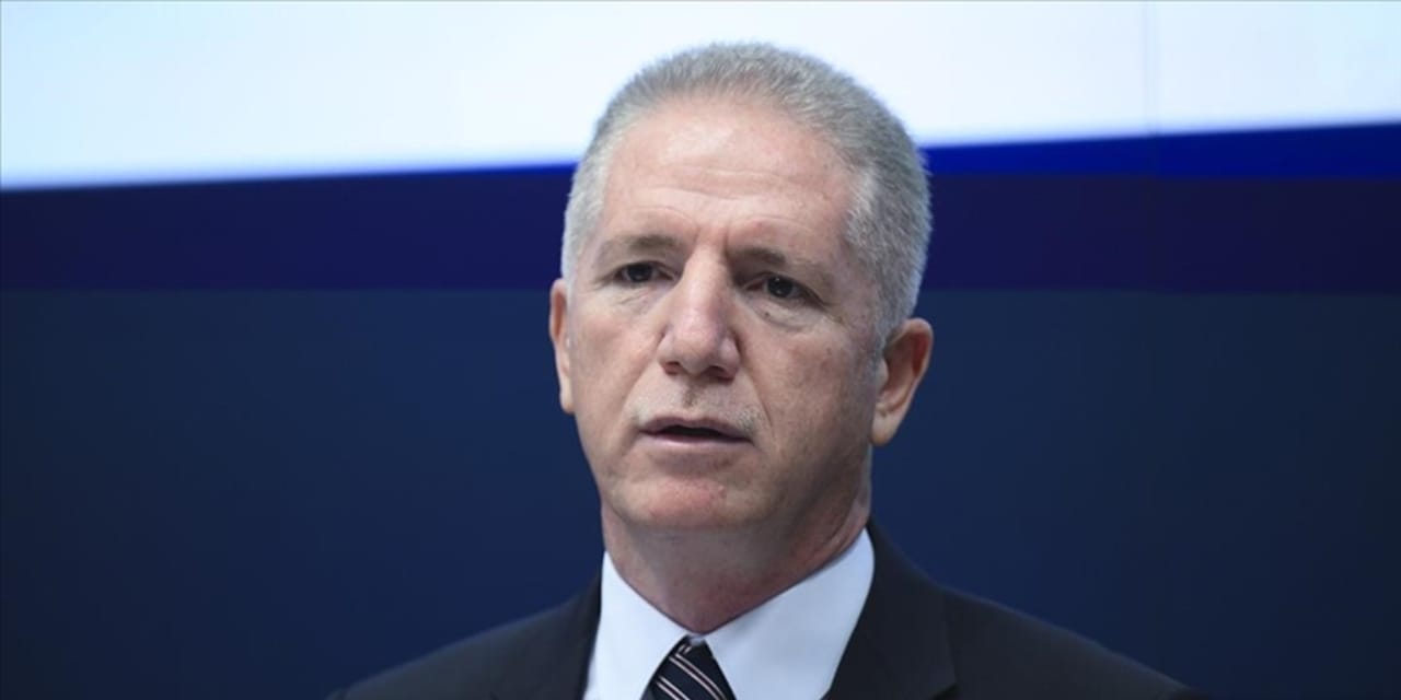 İstanbul Valisi Davut Gül hakkında suç duyurusu: Sokak hayvanları genelgesi yargıya taşındı