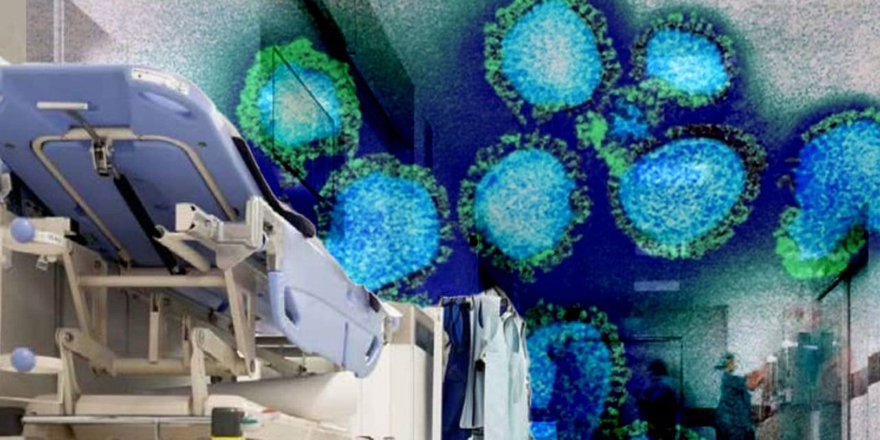 7 mutasyonlu H3N2 virüsü için "Türkiye'ye gelmesi an meselesi" uyarısı! Normal gripten çok daha hızlı yayılıyor