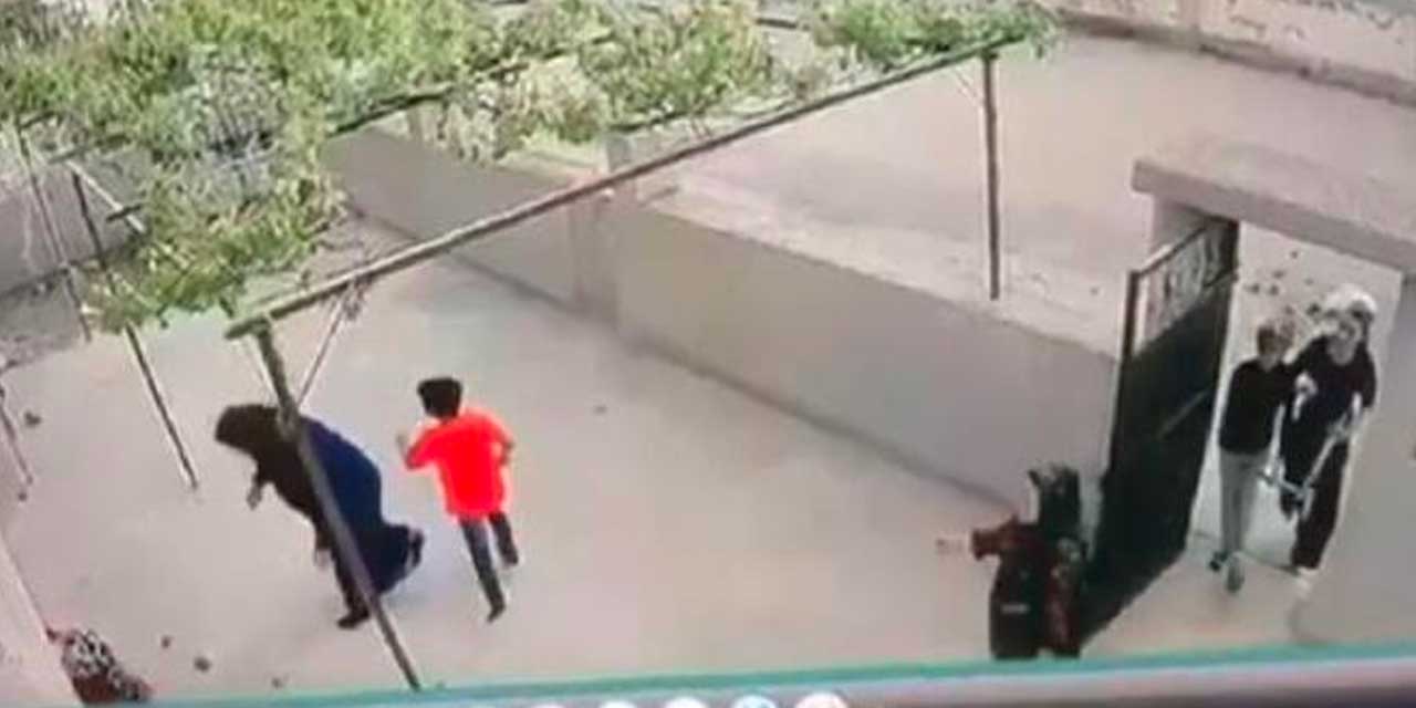 Yer Adana; husumetli oldukları akrabalarının evini böyle taşladılar