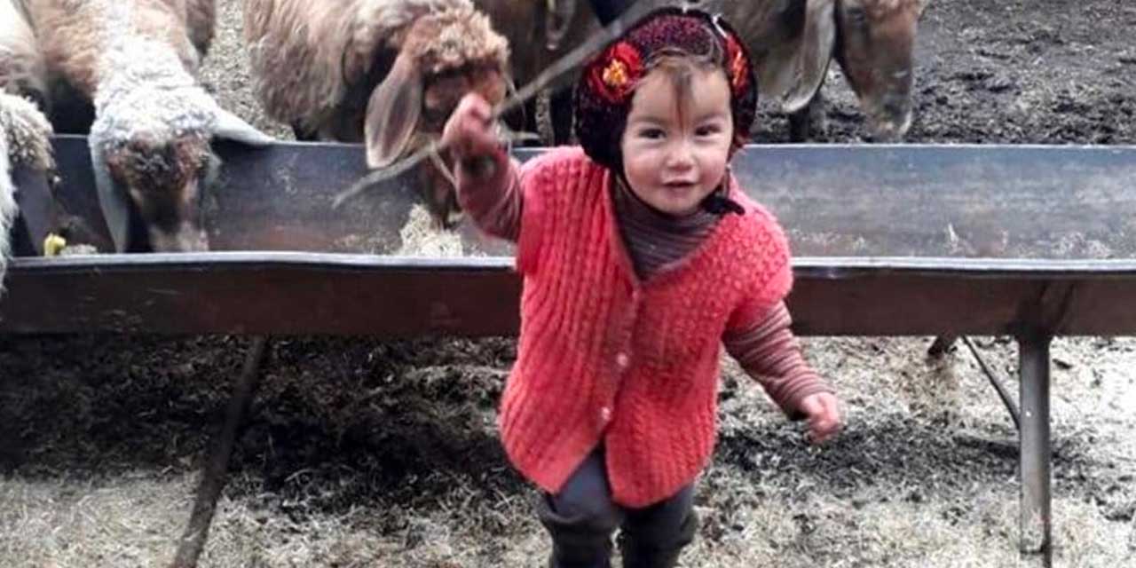 Müslüme'nin kardeşleri devlet korumasına alındı