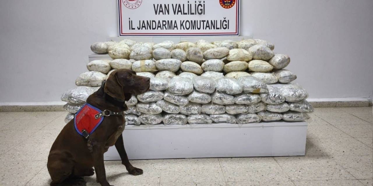 Van'da 60 kilo skunk ele geçirildi