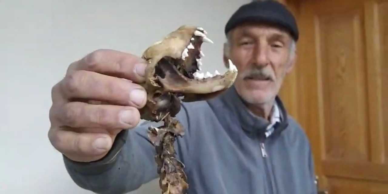 Artvin'de bulundu hemen incelemeye alındı! "İlk kez böyle bir şey gördüm"