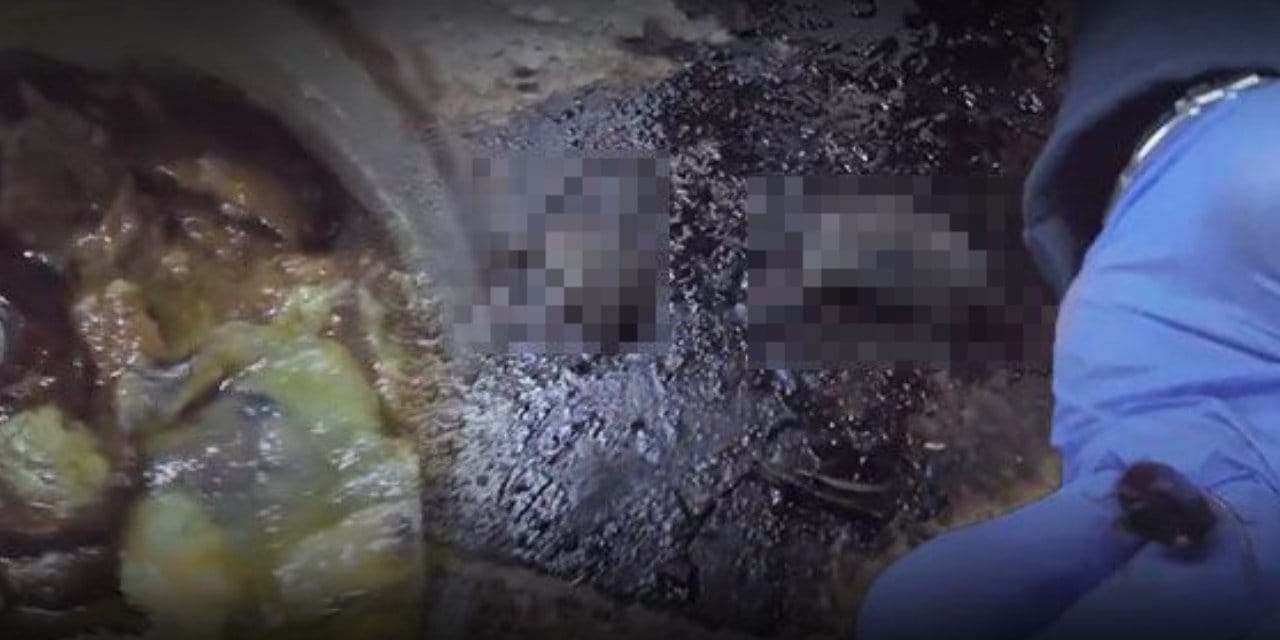 Market baskınında ortaya çıkanlar kan dondurdu: Fareler, böcekler ve tarihi geçmiş ürünler...