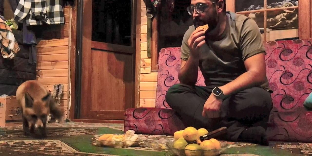 Sinco’dan sonra şimdi de Tilko! Camdan girdi evin maskotu oldu