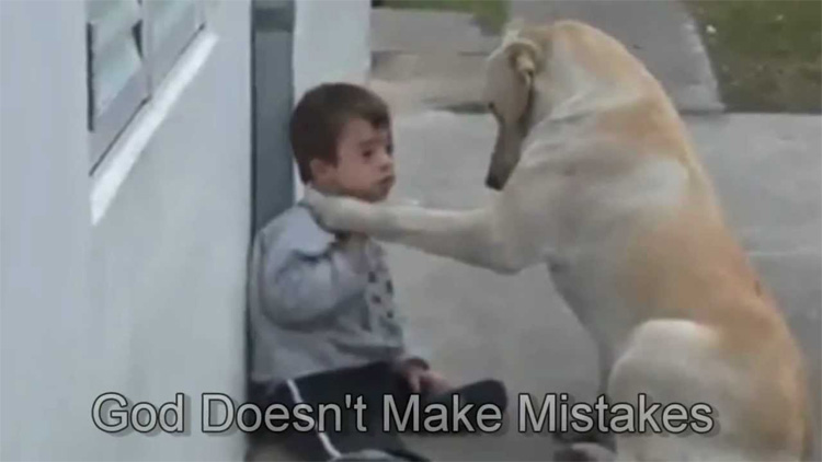 Down sendromlu bir çocuk ve köpek: Bakın nasıl iletişim kurmaya çalışıyorlar?