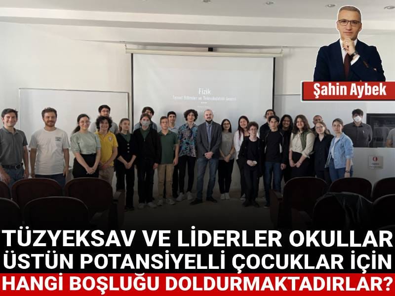 TÜZYEKSAV ve Liderler Okulları üstün potansiyelli çocuklar için hangi boşluğu doldurmaktadırlar?
