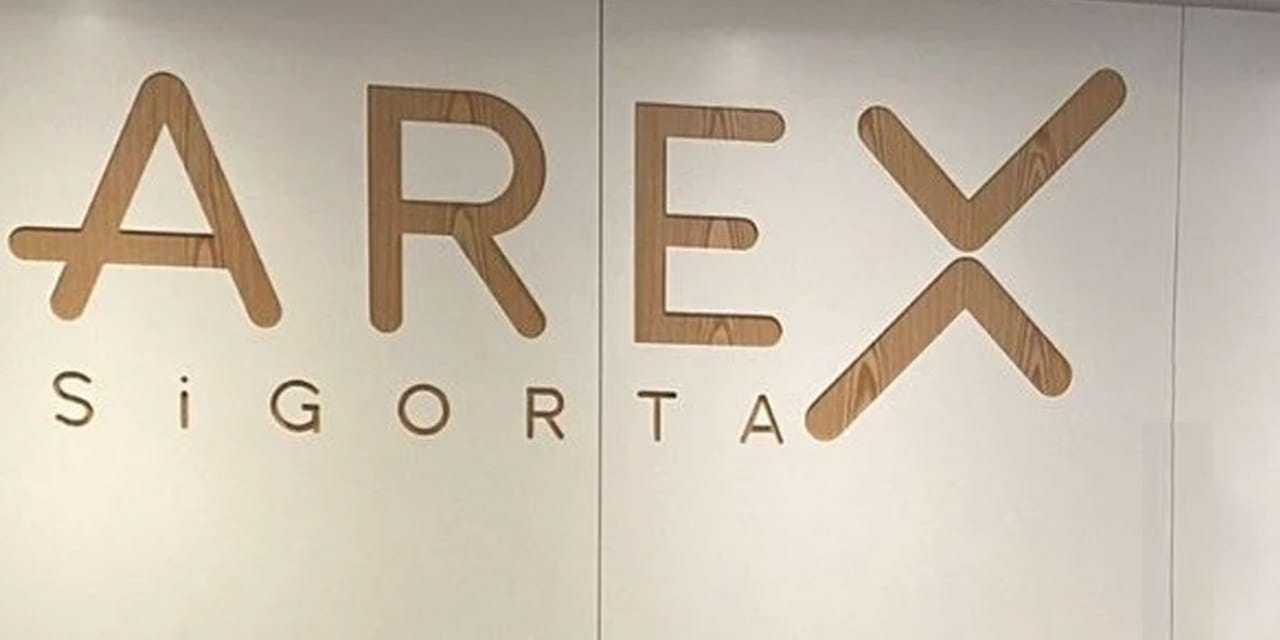 Son Dakika | Dev sigorta şirketine kayyum atandı! 30 kişiye gözaltı kararı