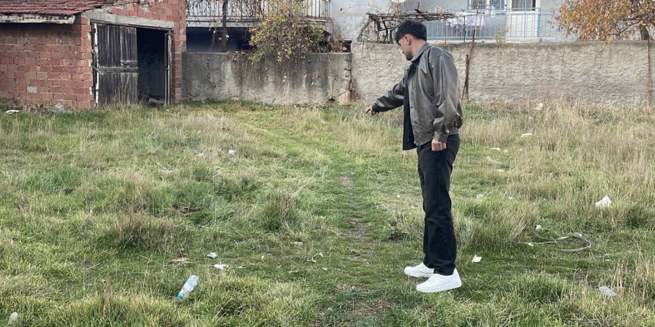 Eskişehir'de korkunç manzara! Boş arazide toplu halde ölü kediler bulundu