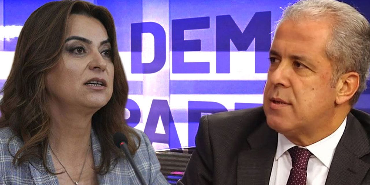 AKP'li Şamil Tayyar "Fazla kaşımayın" diyerek DEM'i uyardı: Sümen altı ettiğim notları yazsam...