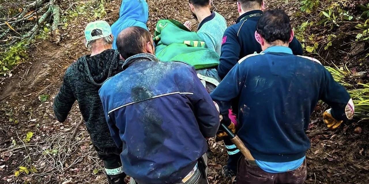 Orman işçisi kestiği tomruğun altında kaldı