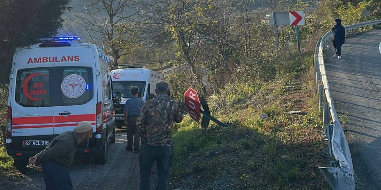 Ordu'da otomobil fındık bahçesine uçtu: Anne ve kızı yaralandı
