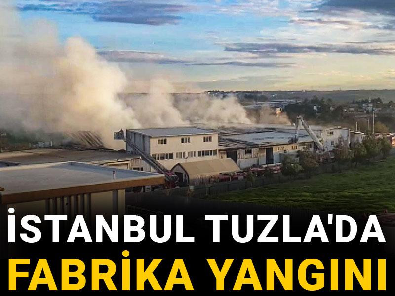 İstanbul Tuzla'da fabrika yangını