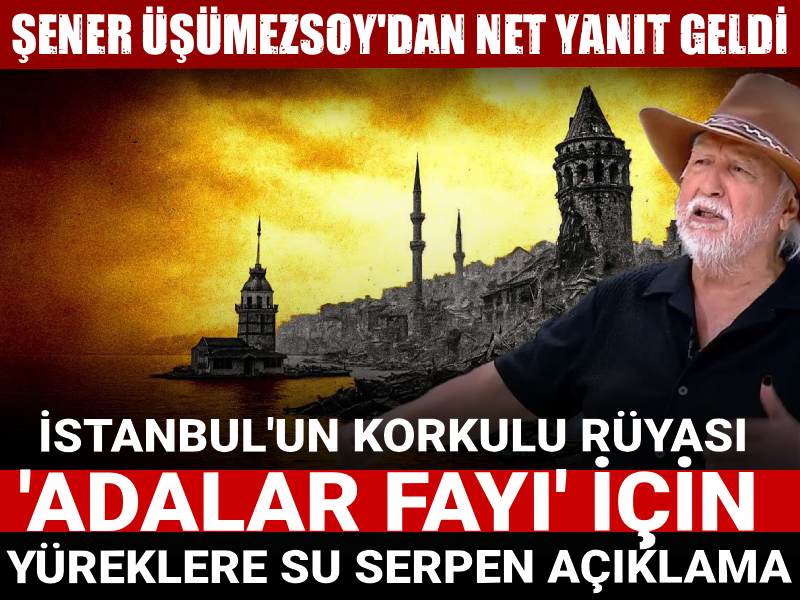 İstanbul'un korkulu rüyası 'Adalar fayı' için yüreklere su serpen açıklama: Şener Üşümezsoy'dan net yanıt geldi