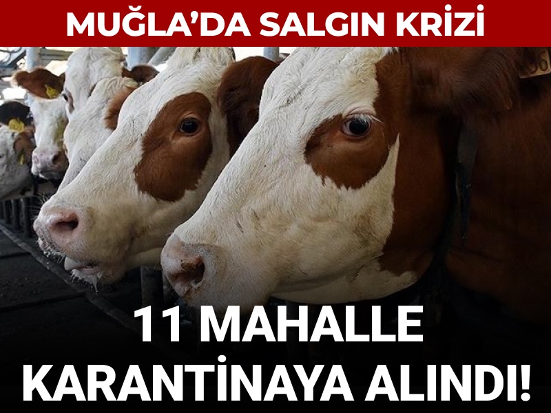 Muğla'da salgın krizi: 11 mahalle karantinaya alındı