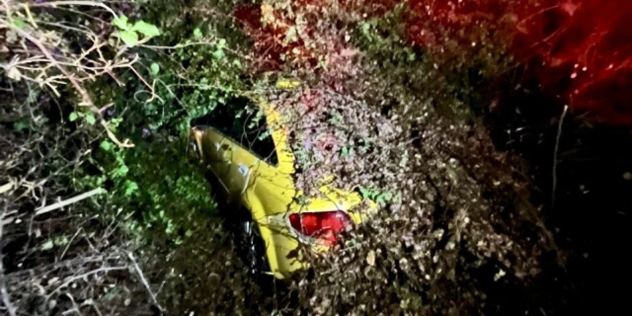 Seyir halindeki aracın üstüne ağaç düştü: Sürücü mahsur kaldı