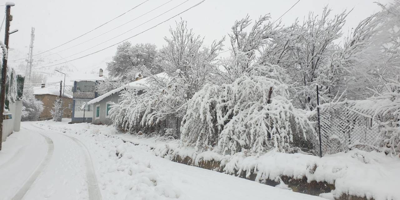 Van'da 11 yerleşim yerine kar engeli