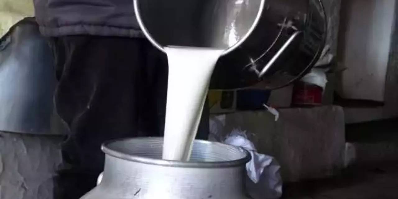 TÜSEDAD çiğ süt için tavsiye fiyatını açıkladı