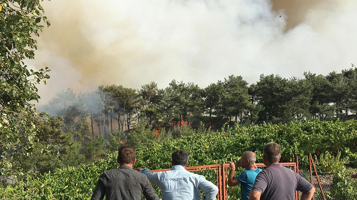 Karabağlar'da yangın büyüyor: Üzüm bağları yandı