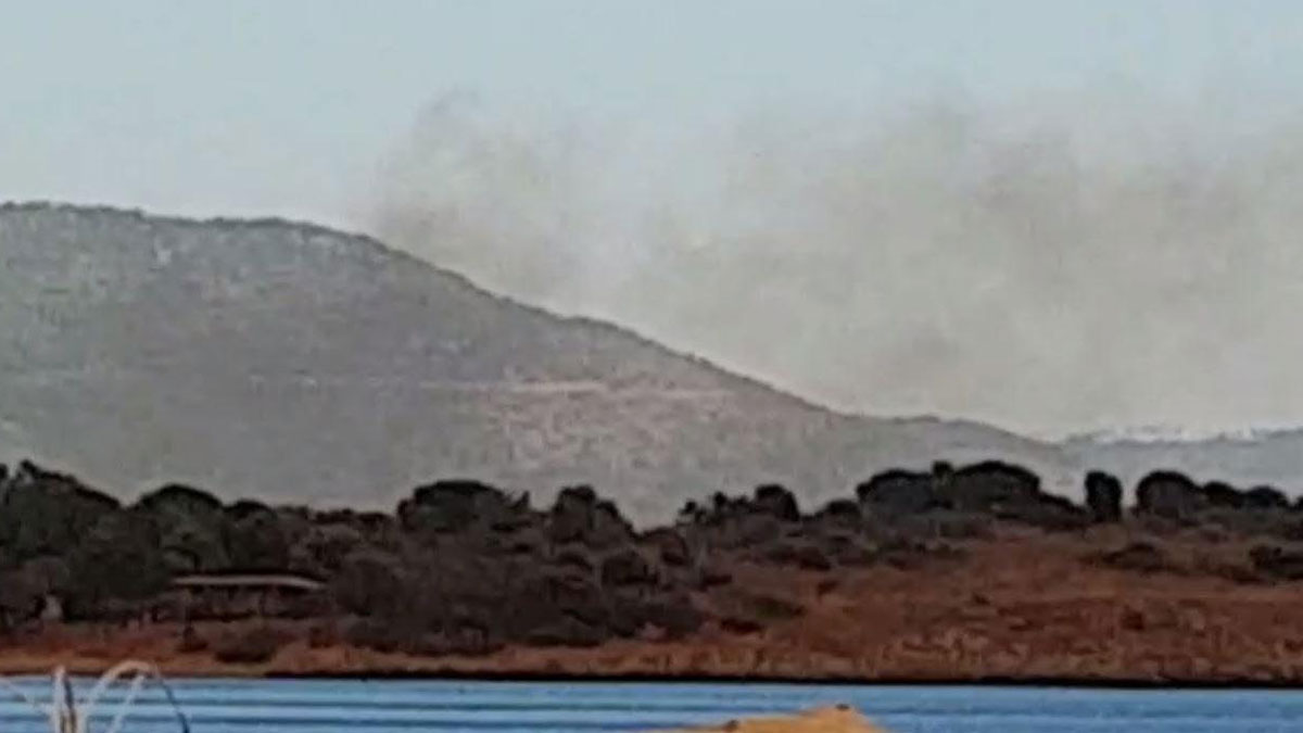 İzmir Gümüldür'de orman yangını