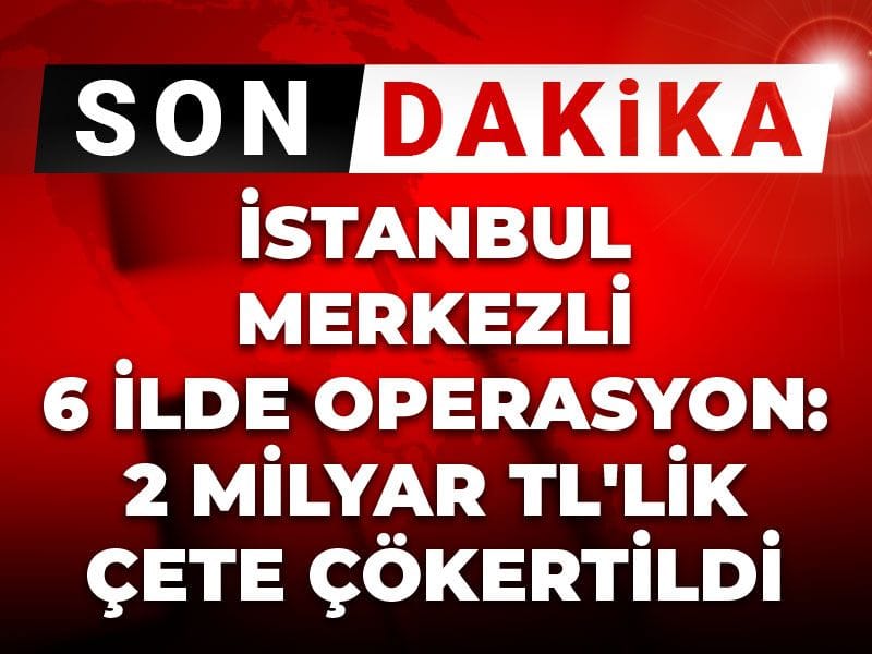 İstanbul merkezli 6 ilde operasyon: 2 milyar TL'lik çete çökertildi