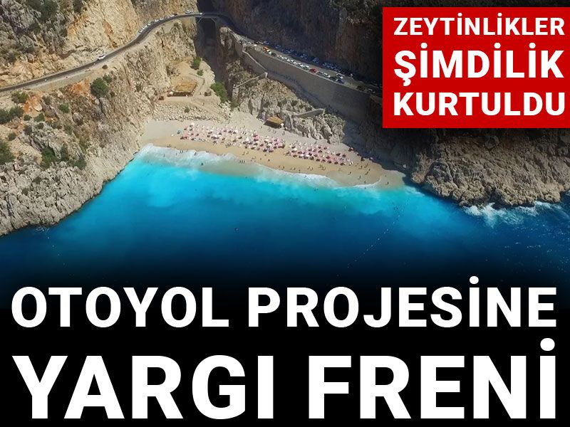 Zeytinlikler şimdilik kurtuldu! Otoyol projesine yargı freni