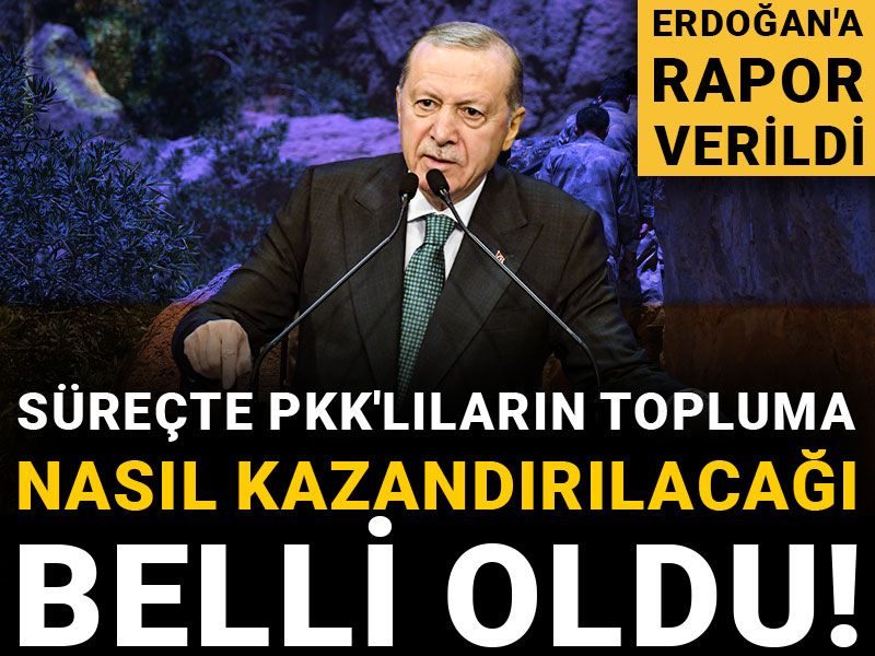 Süreçte PKK'lıların nasıl topluma kazandırılacağı belli oldu! Erdoğan'a rapor verildi