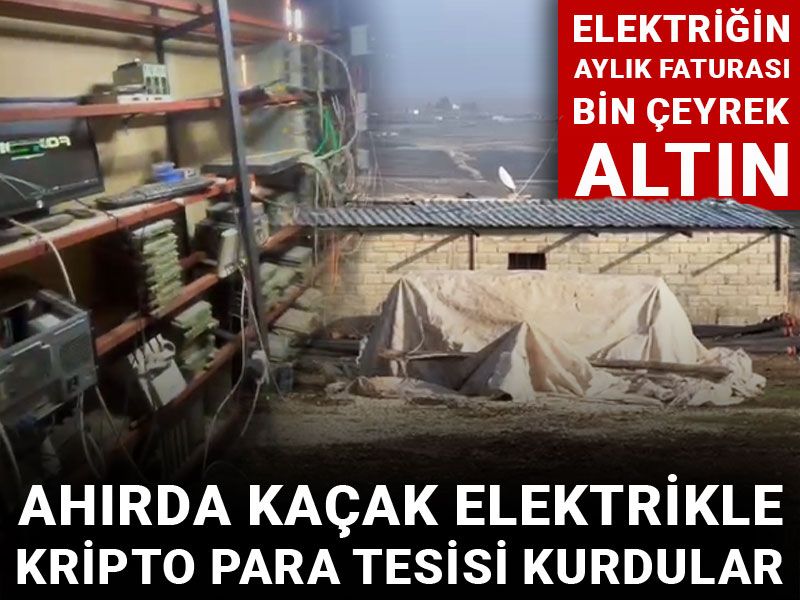 Ahırda kaçak elektrikle kripto para tesisi kurdular! Elektriğin aylık faturası bin çeyrek altın