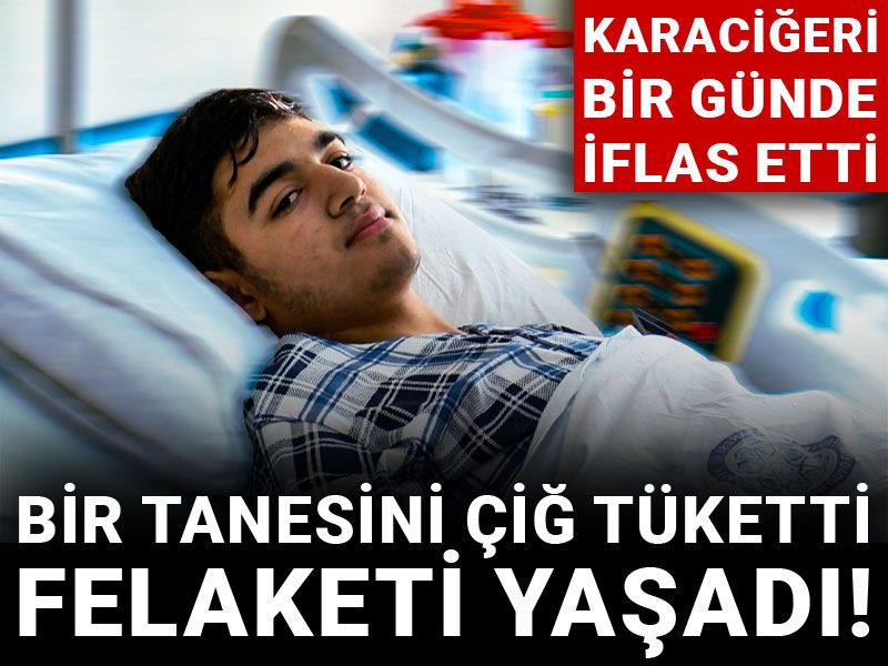 Bir tanesini çiğ tüketti, felaketi yaşadı! Karaciğeri bir günde iflas etti