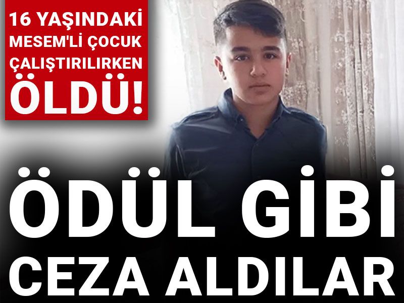 16 yaşındaki MESEM'li çocuk çalıştırılırken öldü! Ödül gibi ceza aldılar