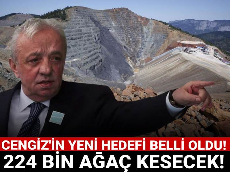 Cengiz Sinop'a da el attı: Maden için 224 bin ağaç kesecek!