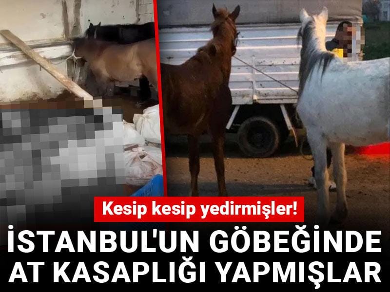 İstanbul'un göbeğinde at kasaplığı yapmışlar: Kesip kesip yedirmişler!
