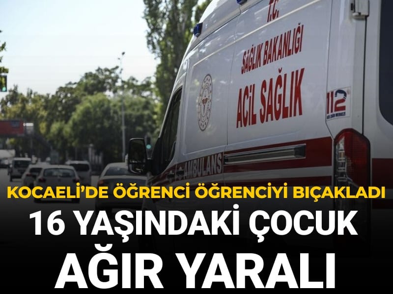 Kocaeli'nde öğrenci öğrenciyi bıçakladı: 16 yaşındaki çocuk ağır yaralı