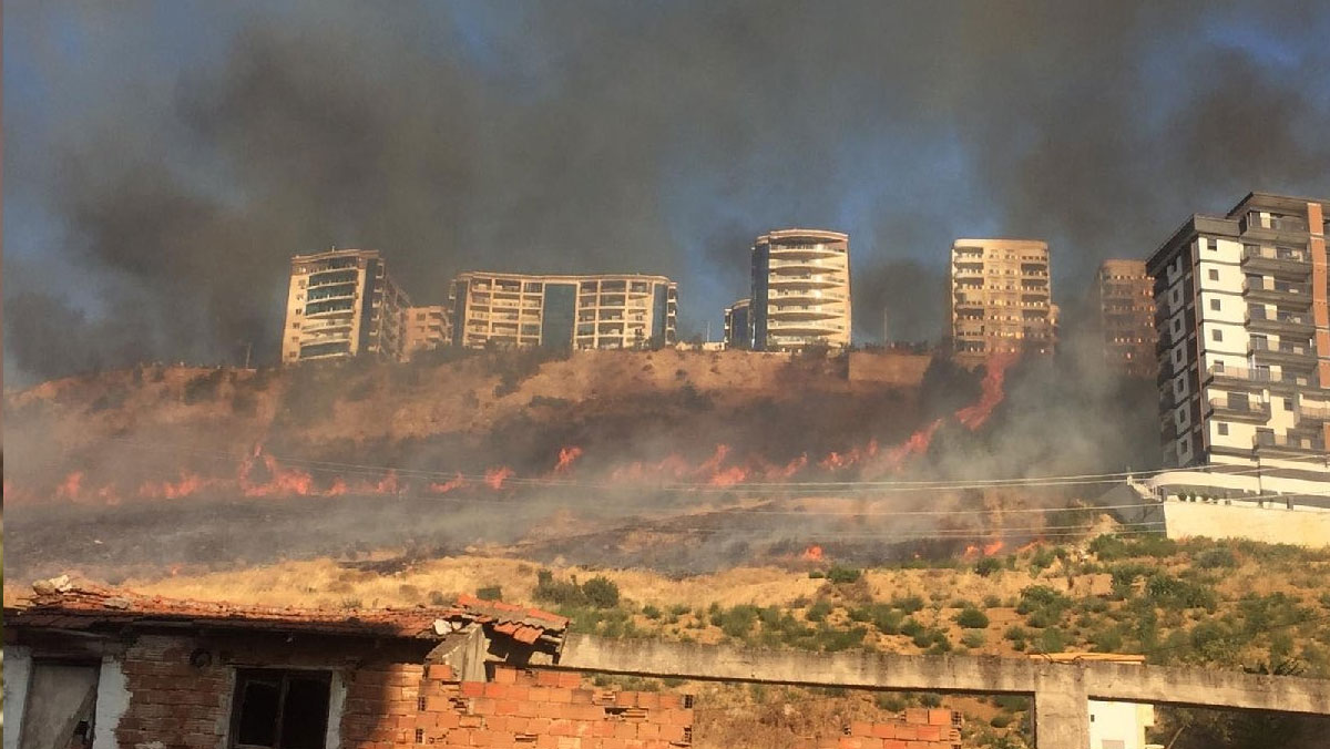 İzmir'de bir orman yangını daha: Müdahale başladı