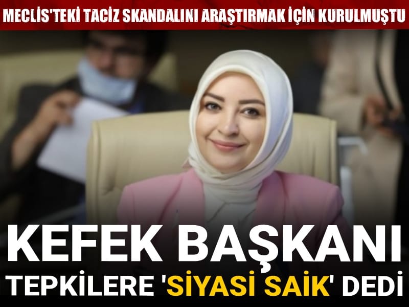 Meclis'teki taciz skandalını araştırmak için kurulmuştu: KEFEK Başkanı tepkilere 'siyasi saik' dedi