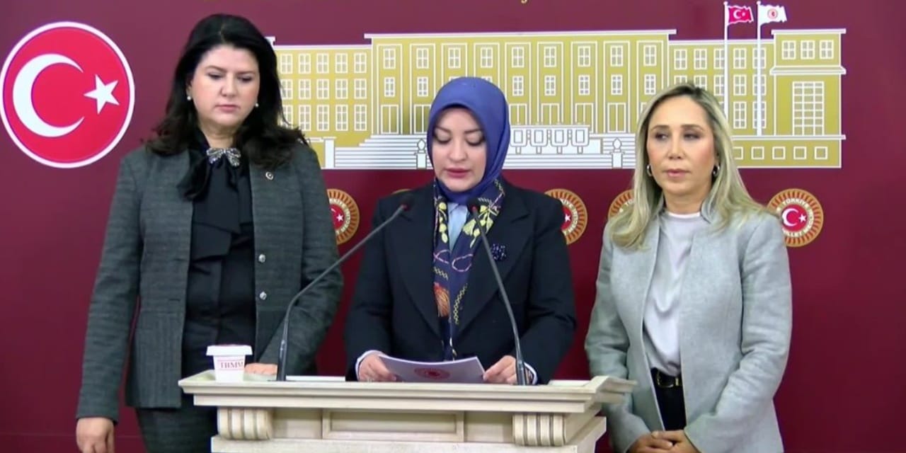 Meclis'teki taciz skandalını araştırmak için kurulmuştu: KEFEK Başkanı tepkilere 'siyasi saik' dedi