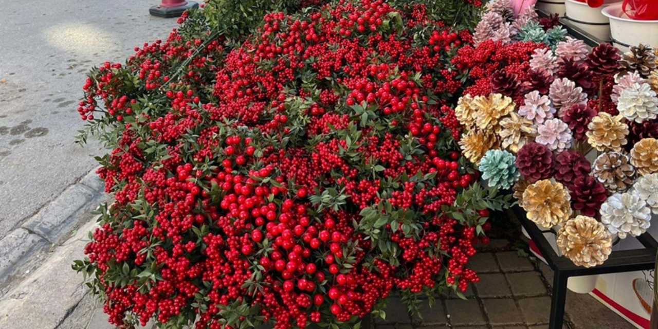 Demeti 200 liradan kapış kapış aldılar: Talep fırladı