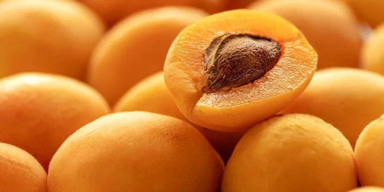 "Günde 3-4 kayısı bağırsakları koruyor"