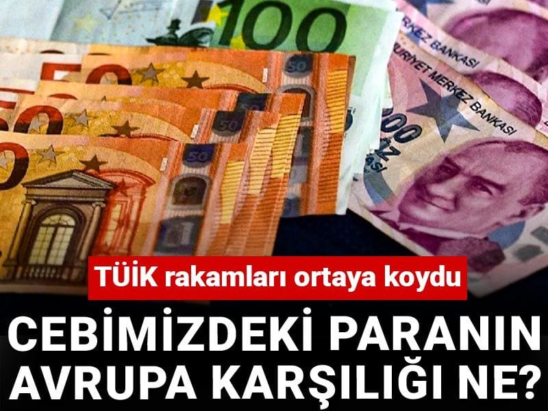 Cebimizdeki paranın Avrupa karşılığı ne? TÜİK rakamları ortaya koydu