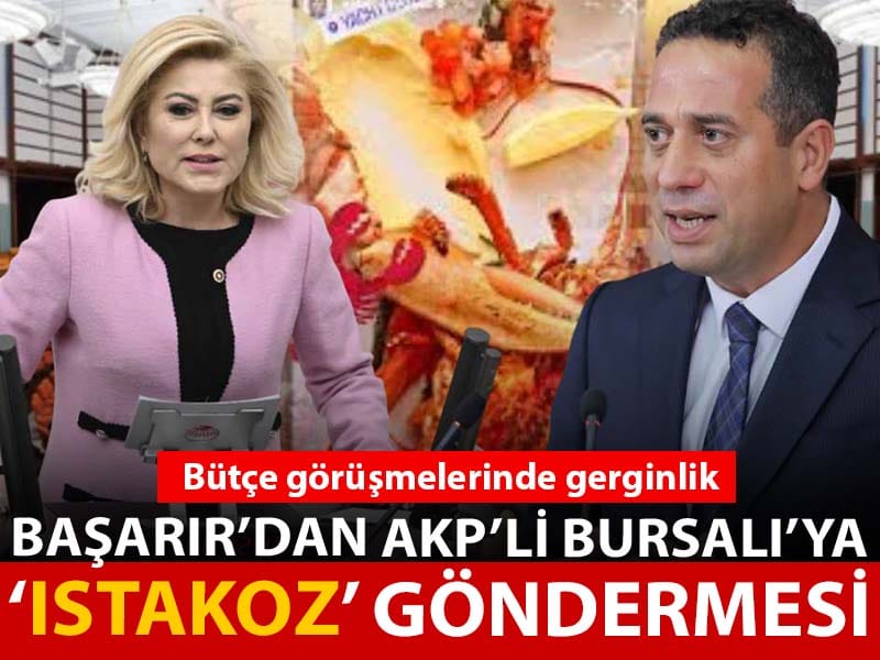 Bütçe görüşmelerinde Genel Kurul'da gerginlik! Başarır'dan AKP'li Bursalı'ya 'ıstakoz' göndermesi