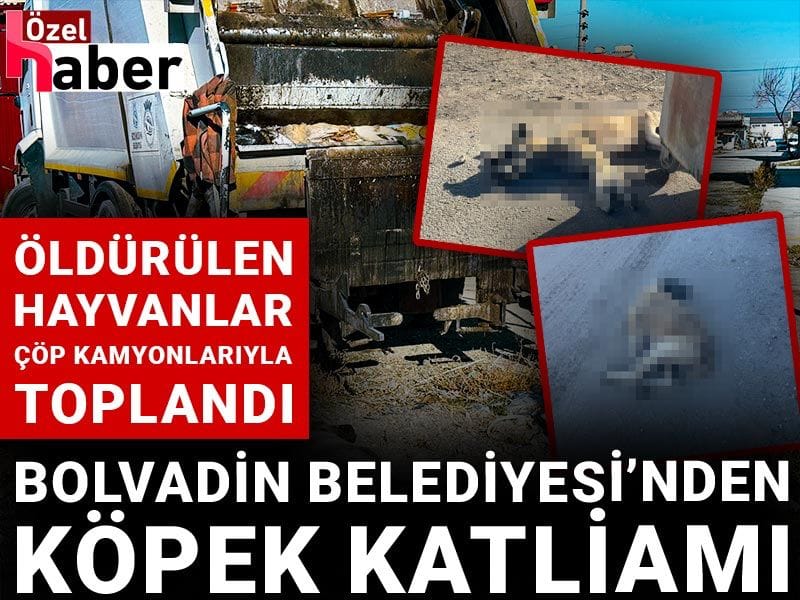 Bolvadin Belediyesi'nden köpek katliamı : Öldürülen hayvanlar çöp kamyonlarıyla toplandı