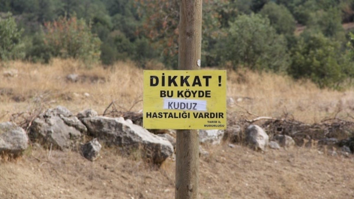 En son 30 yıl önce görülmüştü... Köyde büyük panik!